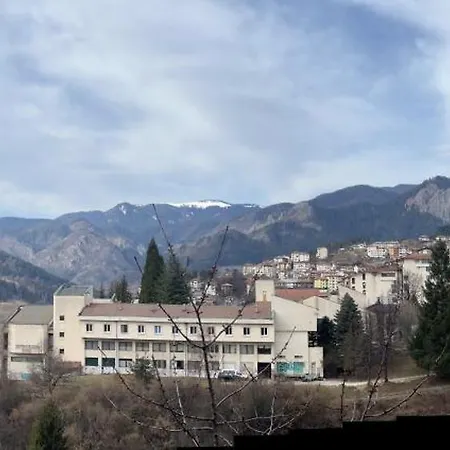 Guest house Panorama